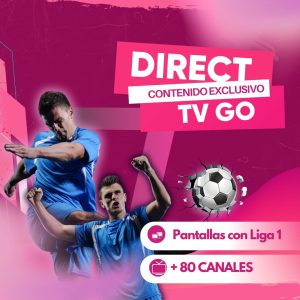 Directv GO
