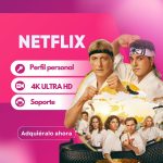 Netflix Premium 4K