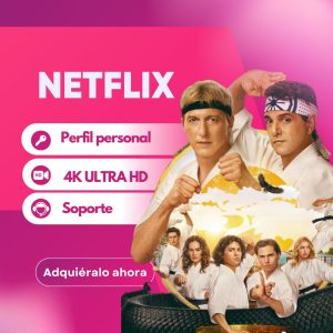 Netflix Premium 4K